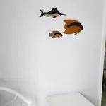 Cabo Frio Marazul